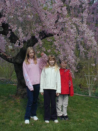 Cliseup of Monica, Allison and William